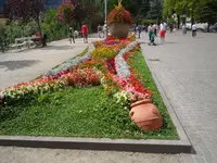 SAM_1466.webp
