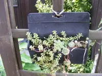 Satteltasche.webp