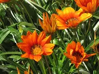 022.webp