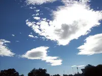 100_5634.webp