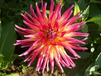 100_5600.webp