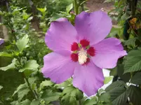 100_5638.webp
