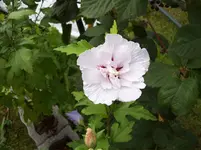 100_5639.webp