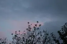 clouds 003.webp