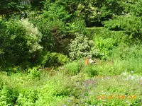 august25 012.webp