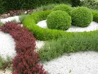 Bild 1386.webp