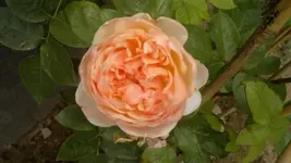 2013-09-03-3385.webp