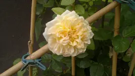 2013-09-03-3386.webp