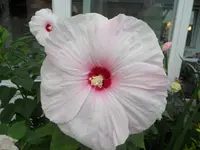 SAM_1440.webp
