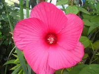 SAM_1442.webp