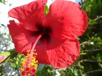 SAM_1486.webp