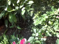 SAM_2090.webp