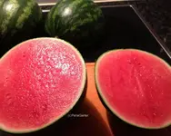 melone3.webp