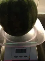 melone1.webp