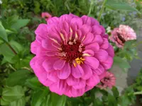 CIMG5489.webp