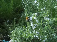BILD2467.webp