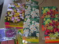 Blumen.webp