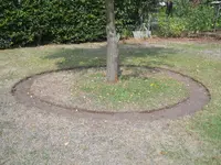 DSCN2520.webp