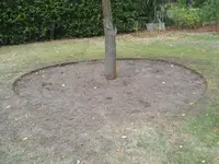 DSCN2541.webp