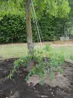 DSCN2571.webp