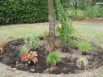 DSCN2576.webp