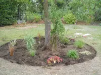 DSCN2578.webp