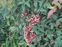 015.webp