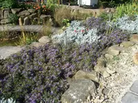 101_0947.webp