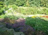 101_0960.webp