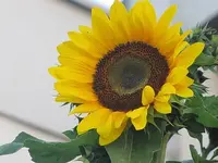 021.webp