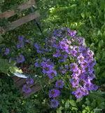 IMG_6275.webp