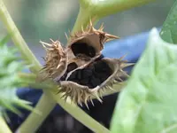 DSCF3276.webp