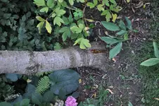 DSC_0078.webp