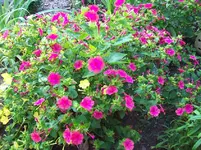 100_5623.webp