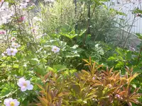 P1090251.webp