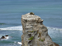 Felsen v.webp