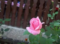 100_5614.webp