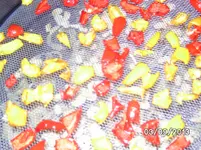 Paprika.webp