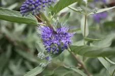 IMG_5545.webp