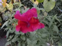 P1090345.webp