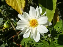 CIMG0040.webp