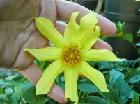 CIMG0043.webp