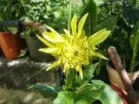 CIMG0064.webp