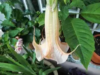 CIMG0013.webp