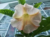 CIMG0019.webp