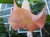 CIMG0031.webp