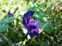 CIMG0044.webp