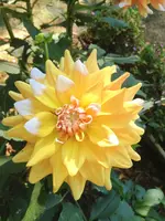 image.webp