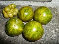 CIMG0016.webp