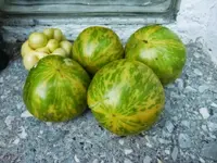 CIMG0017.webp
